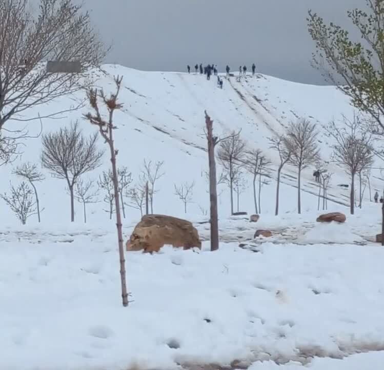بارش برف در نیشابور