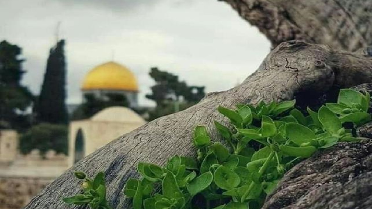 فریاد‌هایی که دیوار‌ها را می‌لرزاند