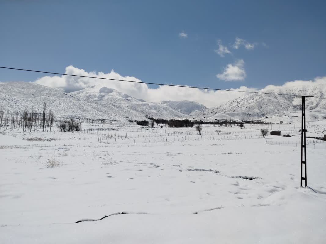 بارش برف در فریمان