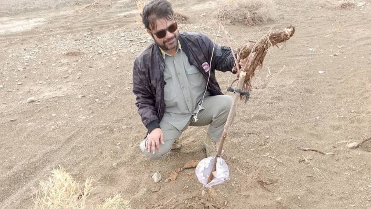 آغاز جمع‌آوری تله‌های غیرمجاز و پایش پرندگان مهاجر در سیستان و بلوچستان