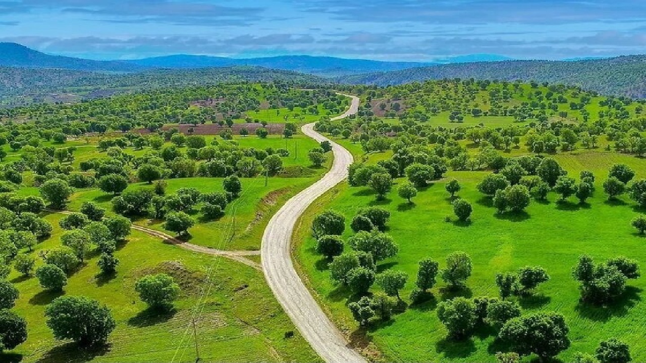 جنگل‌های لرستان بی‌دفاع مانده‌اند؛ استانی با بیشترین جنگل زاگرس، اما کمترین توان حفاظتی