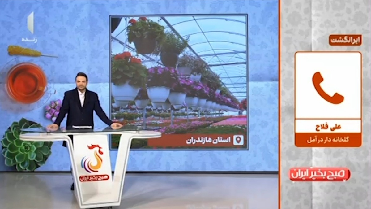 شهدادی، روستای گلخانه‌ای + فیلم