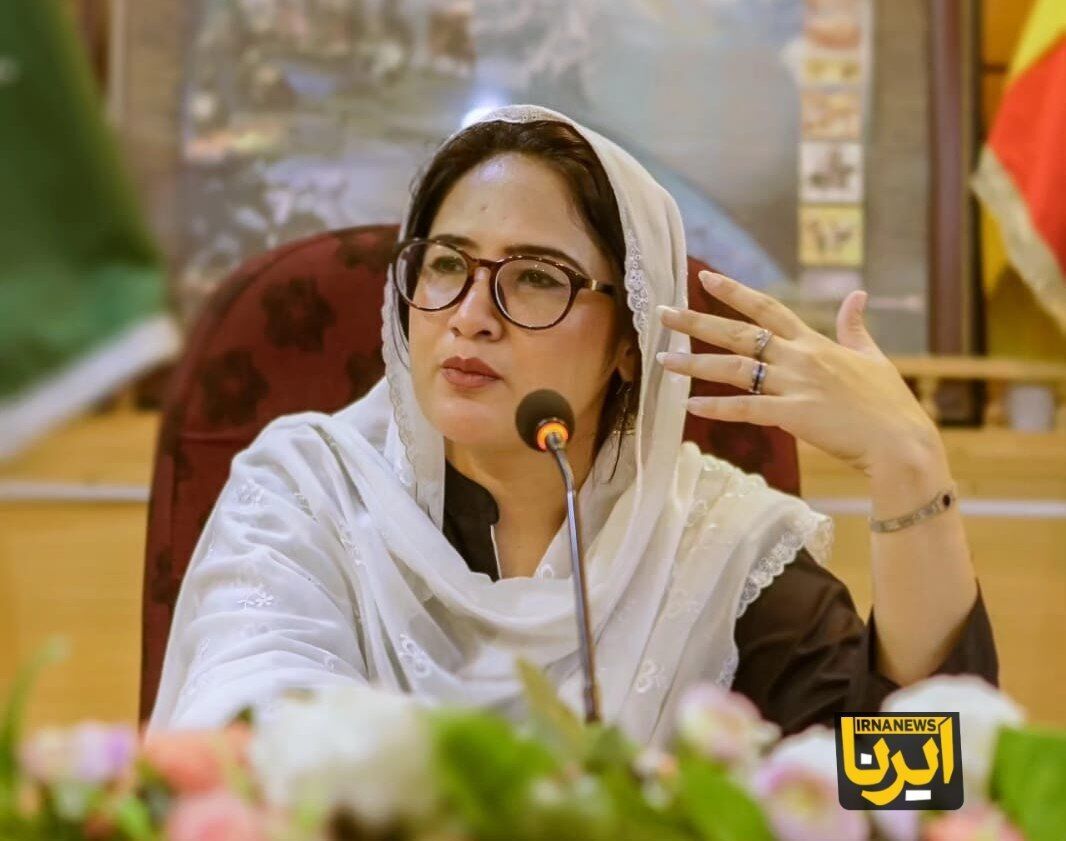 استاد دانشگاه پاکستان: ایران تسلیم فشارخارجی نمی‌شود/ تاکید بر درس گرفتن غرب از گذشته