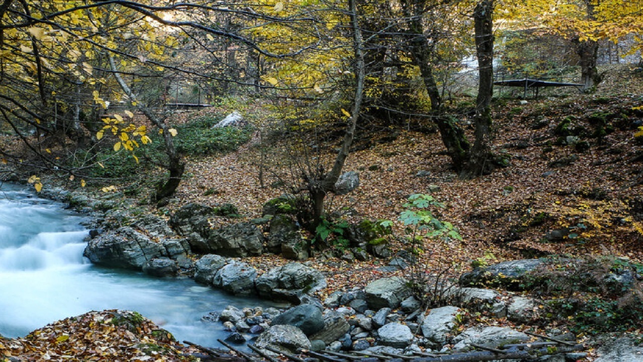 برداشت ذخایر در مناطق جنگلی با معدن کاری سبز امکانپذیر است
