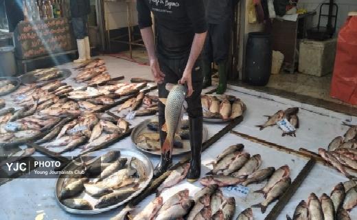 شور زندگی در  بازار سنتی رشت+ تصاویر