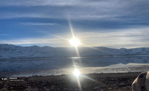 طبیعت زمستانی تالاب چغاخور را به تماشا بنشینید + عکس