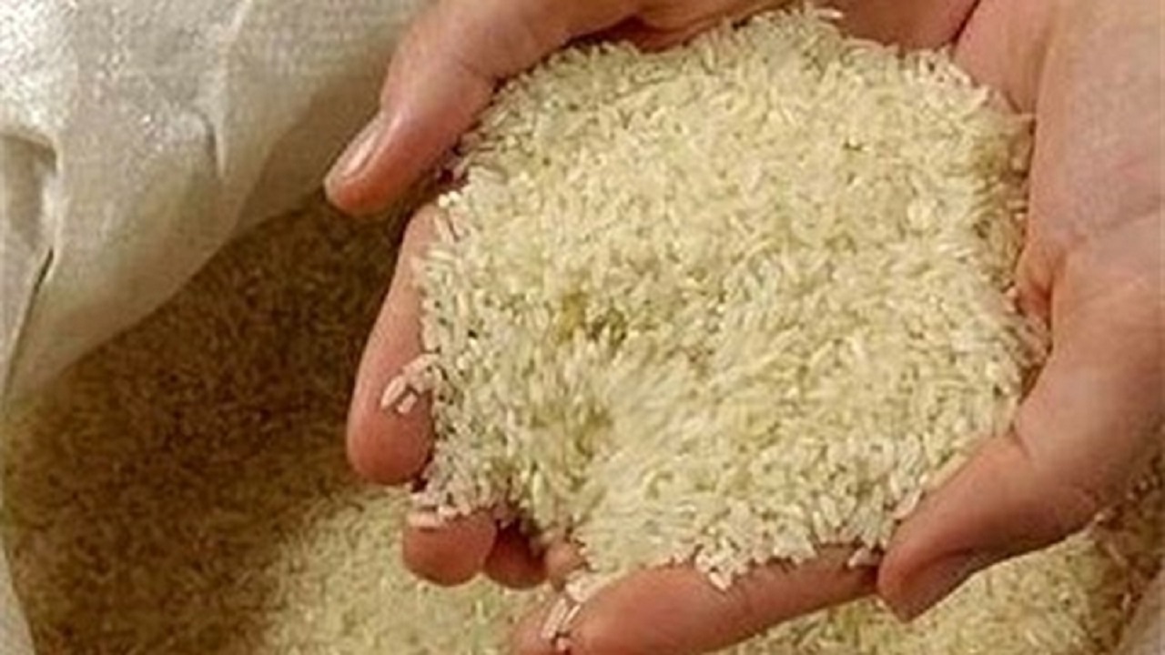 برخورد با گرانفروشی برنج در بابلسر
