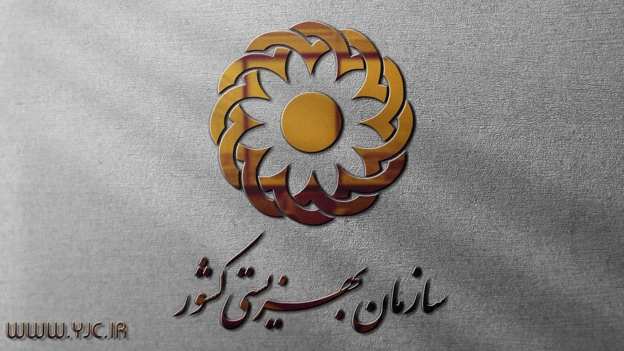 ۴۴ درصد کمک‌های مردم به بهزیستی برای حل مشکلات معیشتی هزینه شد