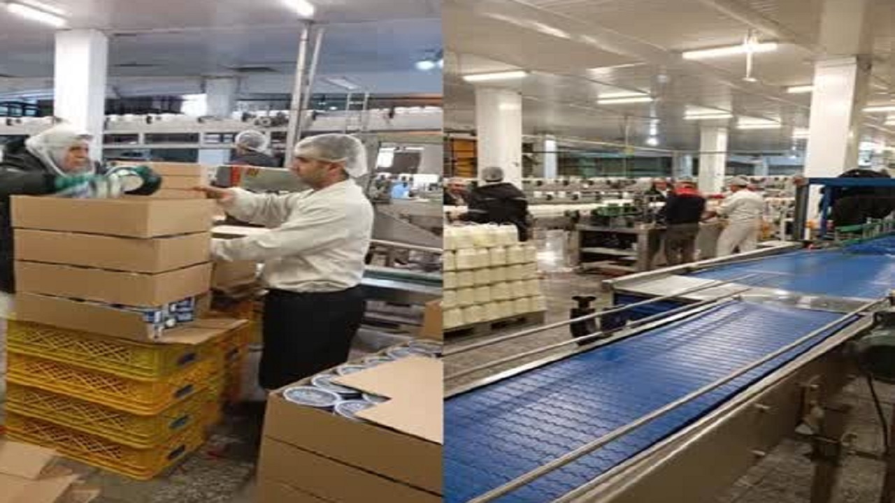 برخورد قاطع با متخلفان بازار لبنیات