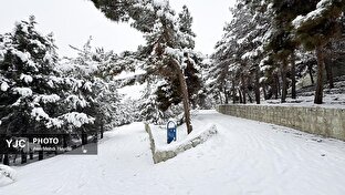 بارش برف در تهران / ۳۰ دی ۱۴۰۴