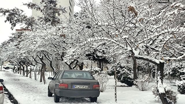 بارش برف تهران را سفیدپوش کرد + عکس