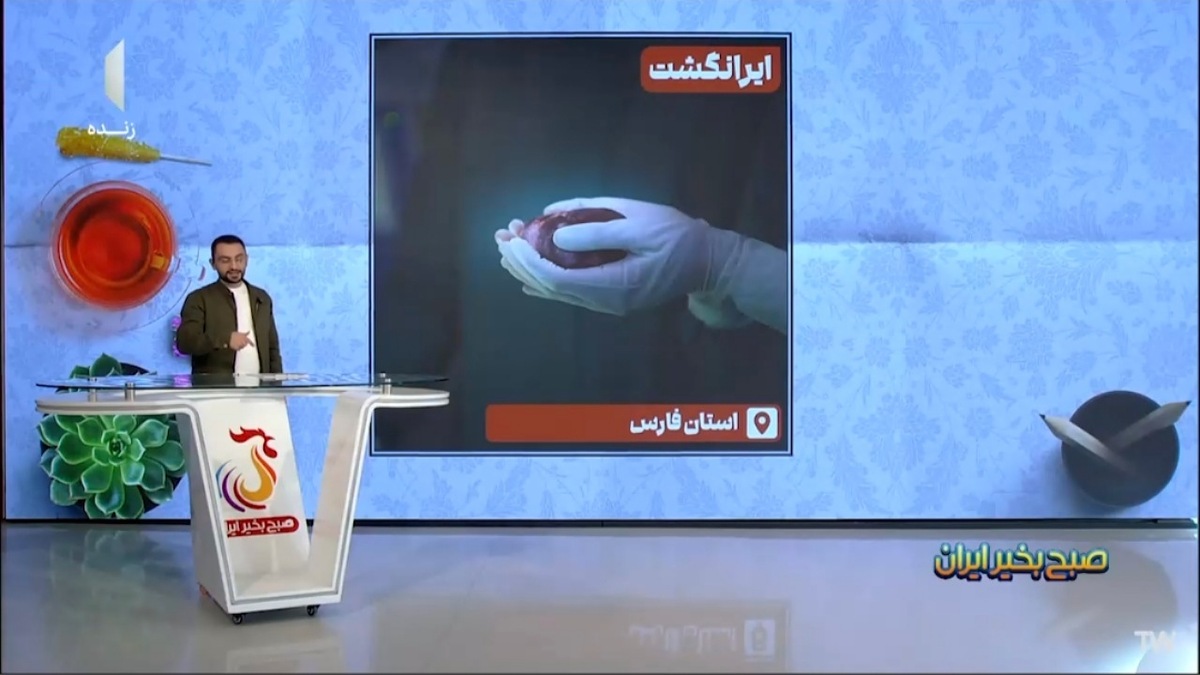 شهر بین المللی سلامت شیراز در مسیر توسعه + فیلم