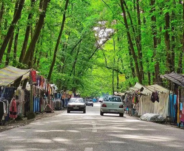 روستای گیسوم تالش ثبت جهانی می‌شود