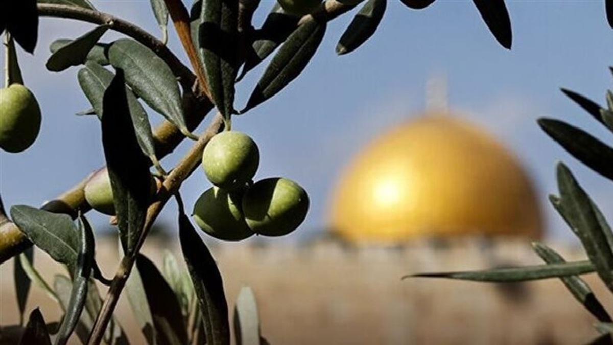 سال ۲۰۲۵، خونین‌ترین سال برای فلسطینی‌ها + فیلم