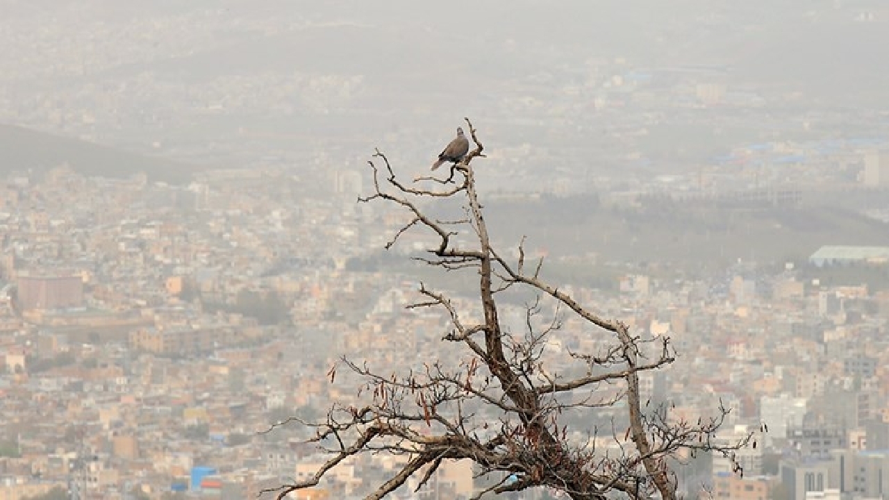آلودگی هوا در ۱۷ شهر خوزستان؛ هندیجان در وضعیت بنفش