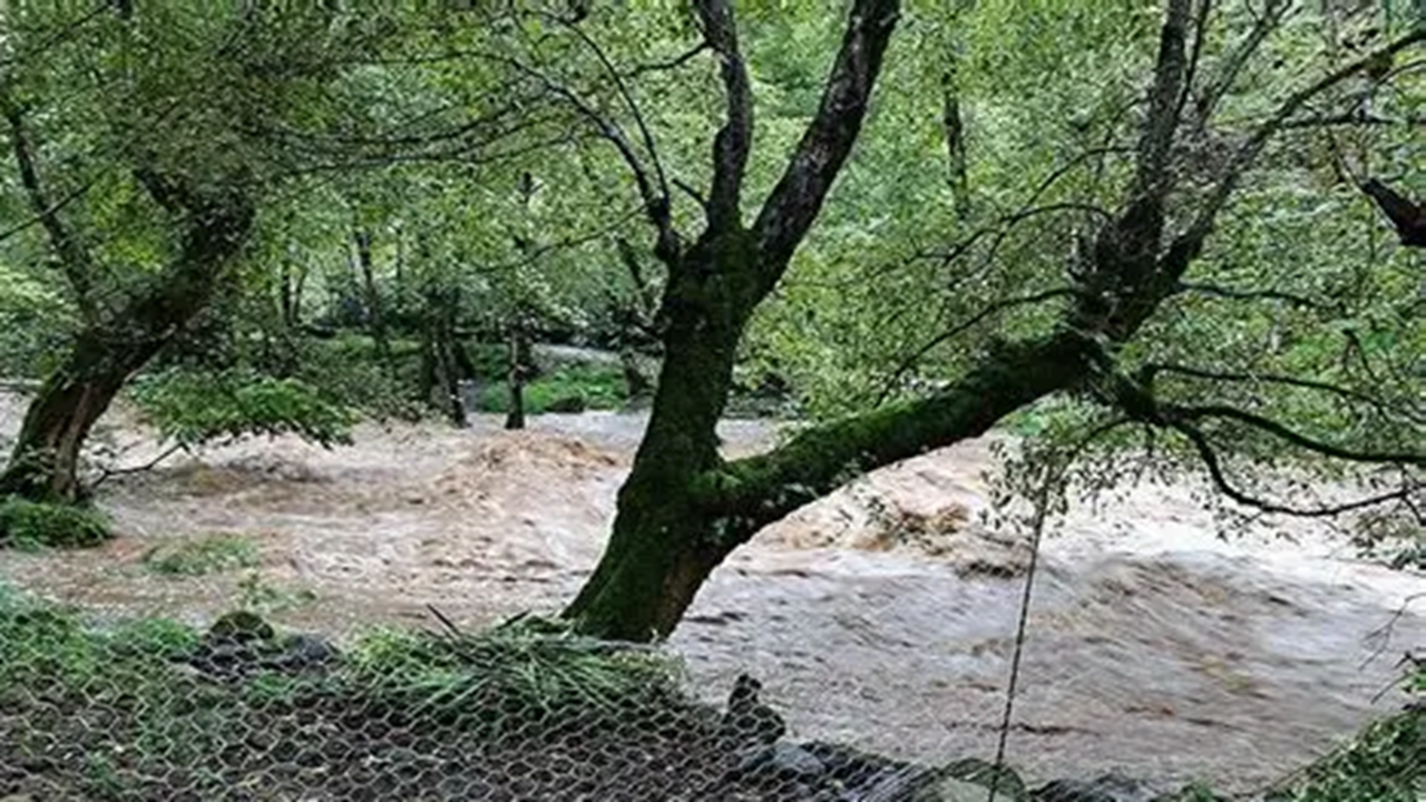بارش شدید باران و طغیان رودخانه در روستای کارگنجی بشاگرد + فیلم
