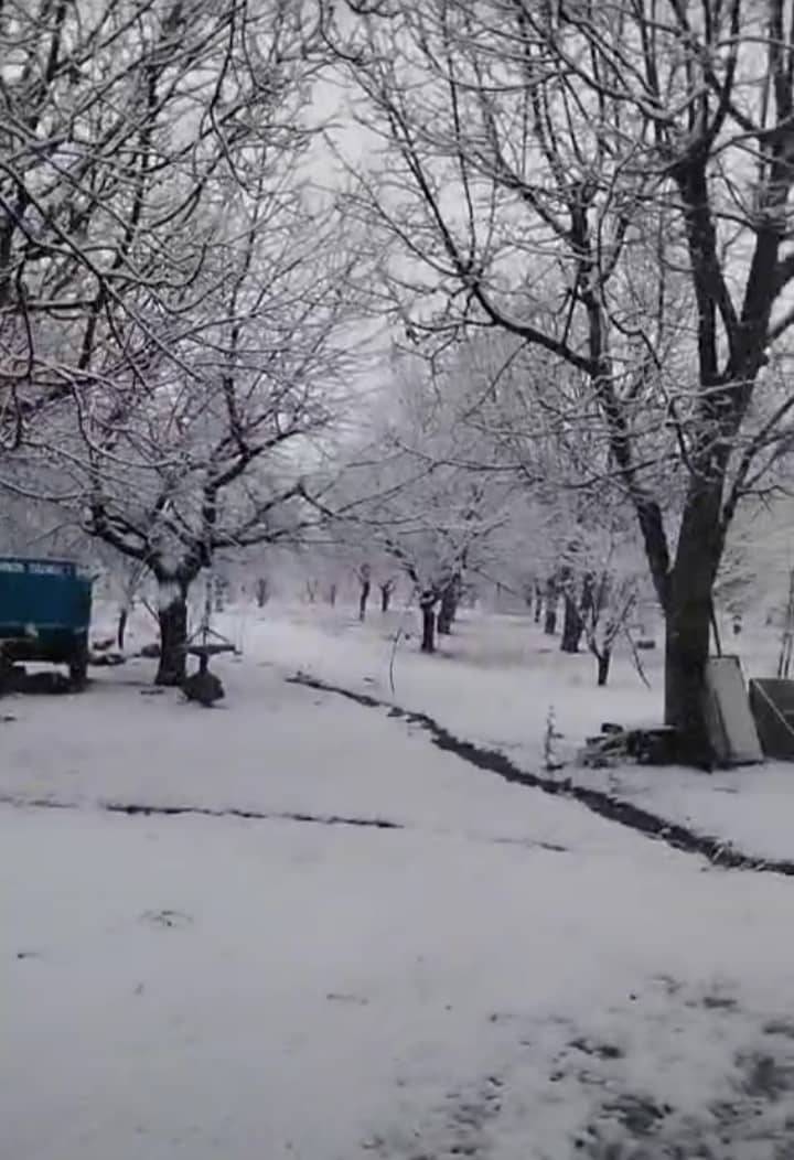 جامه بلورین بر تن روستای زیارت