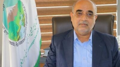 جنگل‌های ساحلی و مانگرو هرمزگان؛ سد طبیعی در برابر ریزگردها و سیلاب‌ها