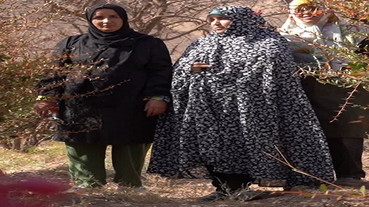 مستند «زن، زندگی»؛ روایتی الهام‌بخش از زنان تأثیرگذار خراسان جنوبی