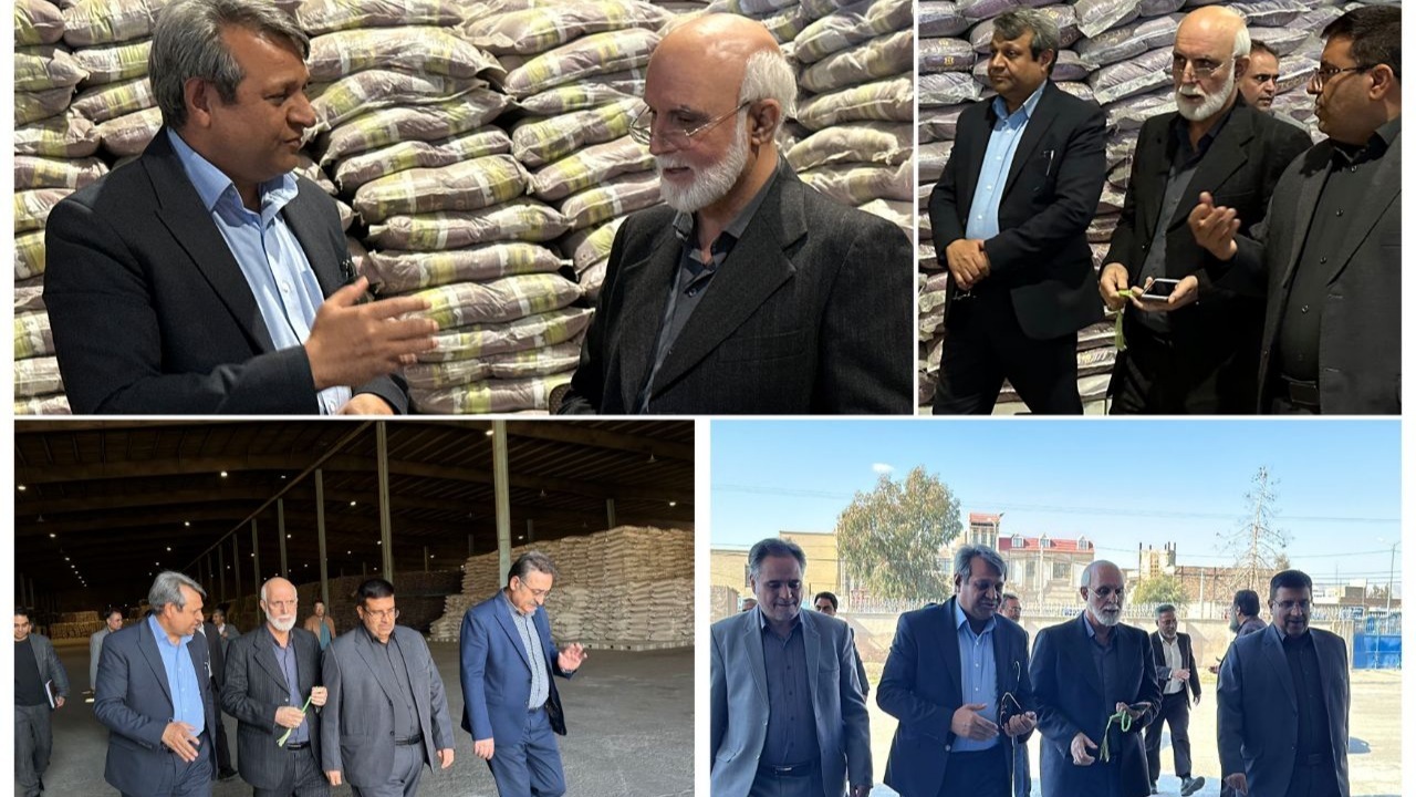 آمادگی سیستان و بلوچستان برای اجرای مرحله دوم کالابرگ؛ بازدید میدانی تعزیرات و جهاد کشاورزی
