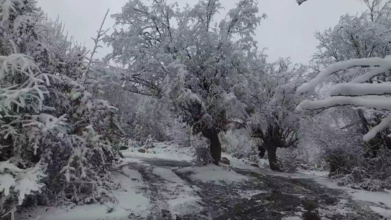 نمایی از زمستان برفی نهاوند در قاب دوربین شهروندخبرنگار + فیلم