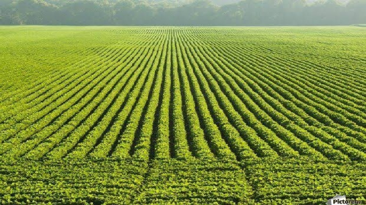تثبیت بیش از سه هزار هکتار اراضی غیرملی در لرستان