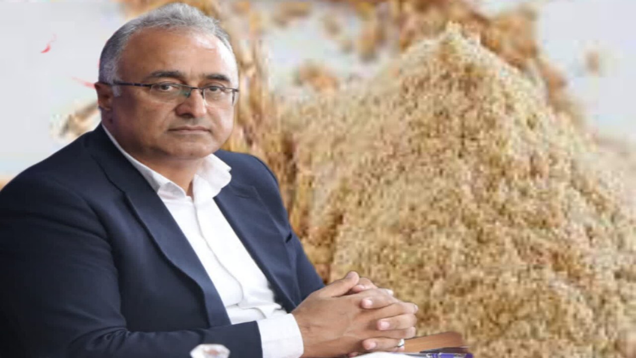 تخصیص ۳۹۷ تن سبوس گندم به تعاونی‌های مازندران برای حمایت از دامداران در شرایط بارش برف