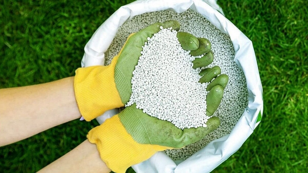 تأمین ۱۷ هزار تُن کود یارانه‌ای در قم برای پایداری امنیت غذایی