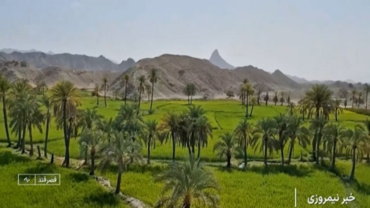 جازموریان: تالابی سرزنده یا کویری بی آب و علف + فیلم