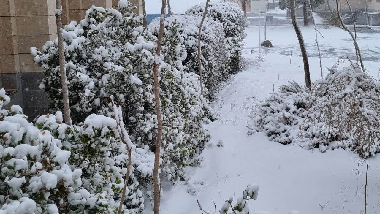 لبخند برف بر چهره خراسان جنوبی/خانواده&zwnj;ها جمعه برفی را در طبیعت جشن گرفتند