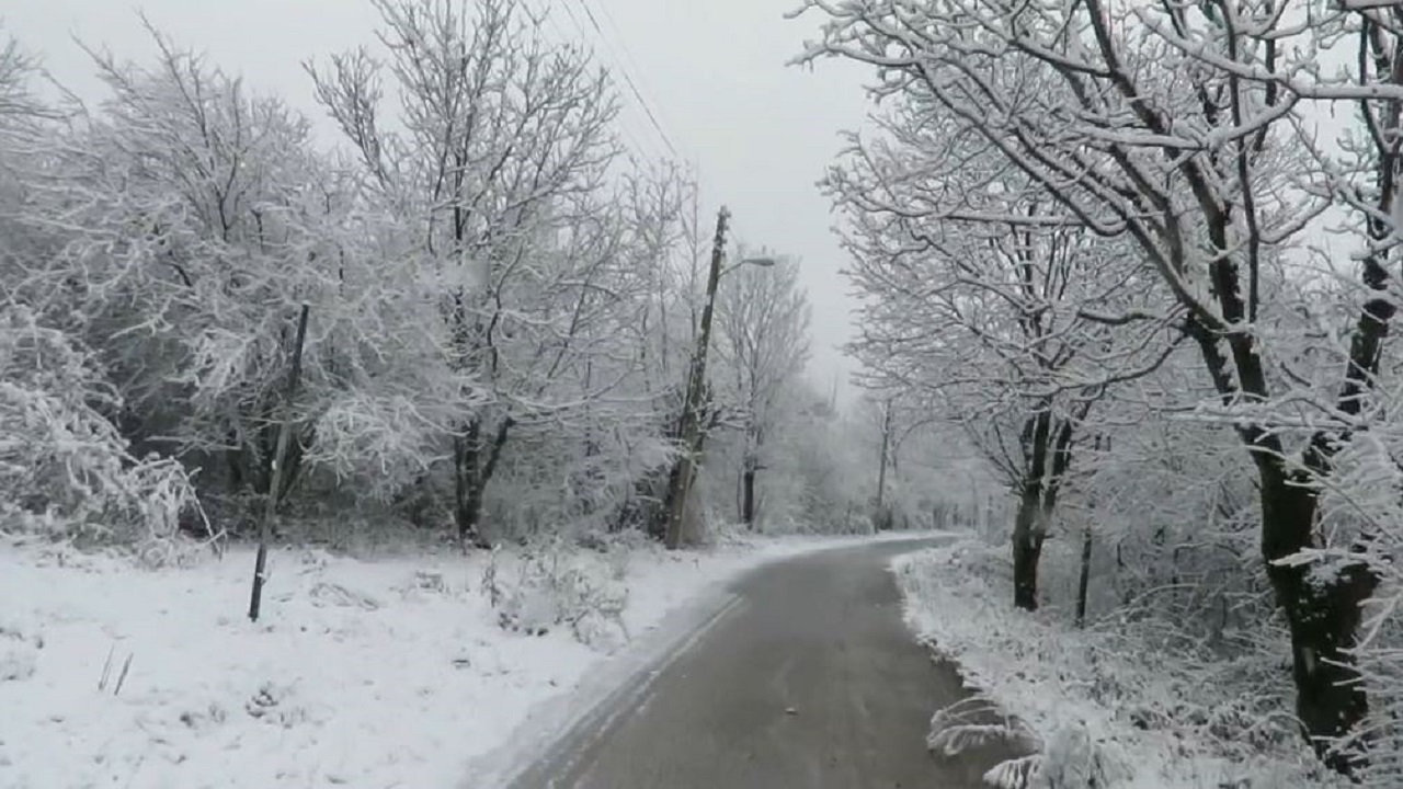 بارش زیبای برف در پارک ملی گلستان