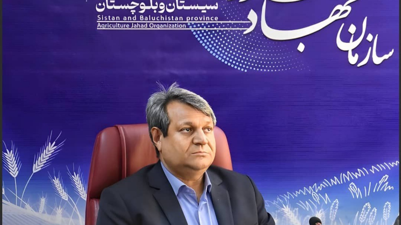تسهیل تأمین گوشت قرمز کشور از مسیر سیستان و بلوچستان