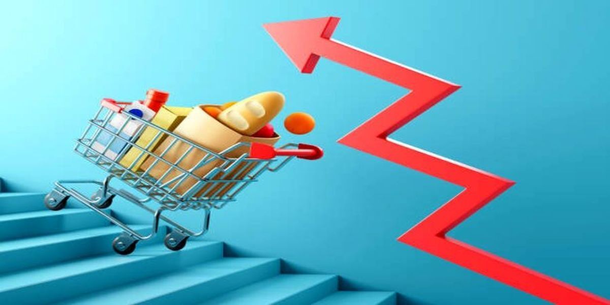کاهش نرخ تورم در آینده نزدیک با اصلاح سیاست‌های ارز ترجیحی در کشور