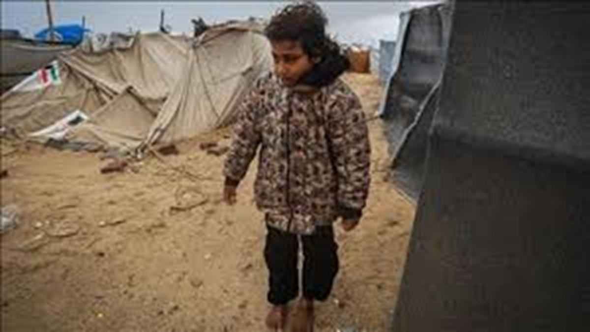 ادامه اشغالگری غاصبان کرانه باختری + فیلم