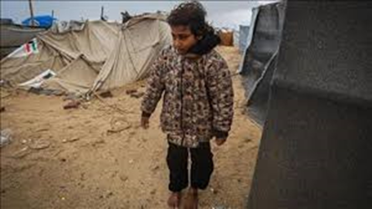 کوچ اجباری فلسطینیان در کرانه باختری + فیلم