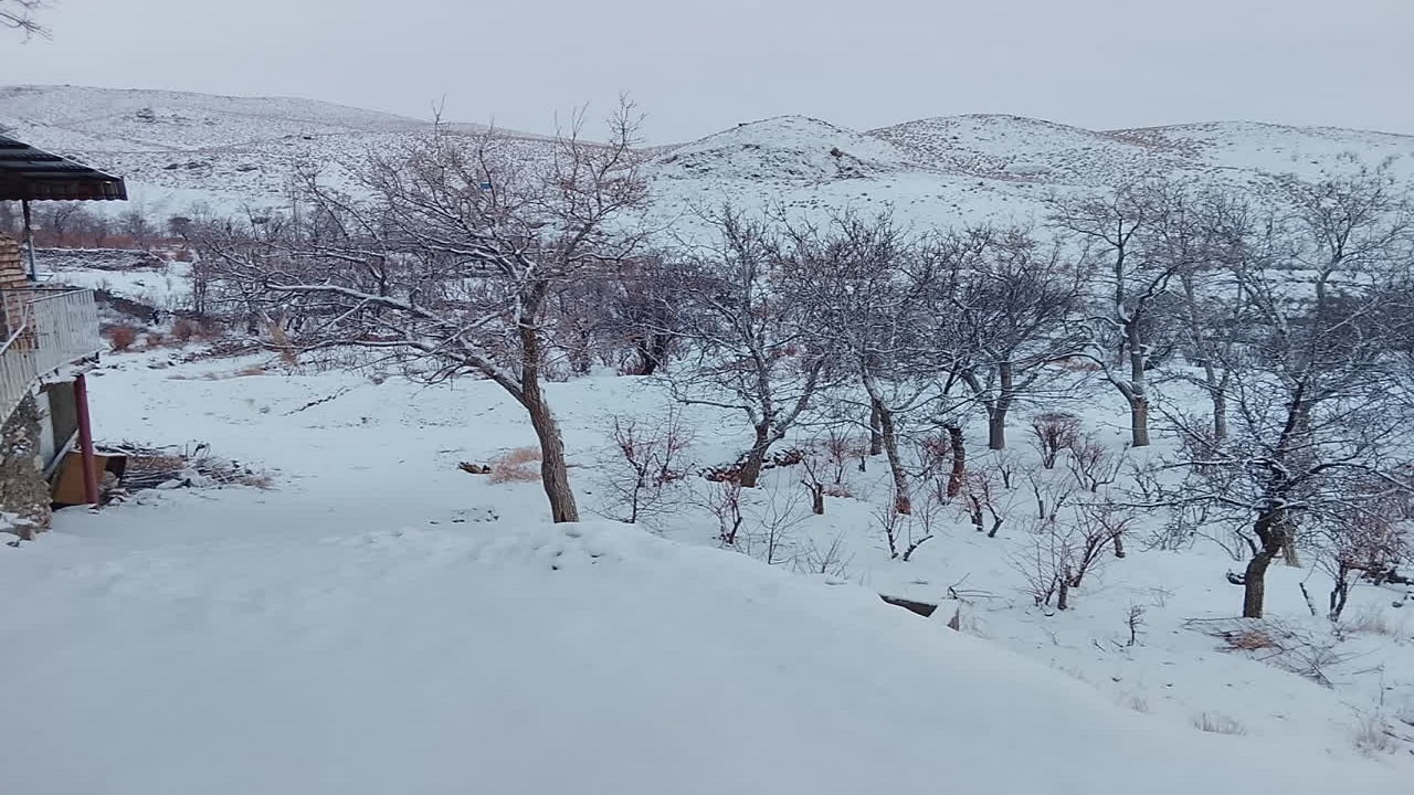 زمین خراسان جنوبی سفیدپوش شد + تصاویر