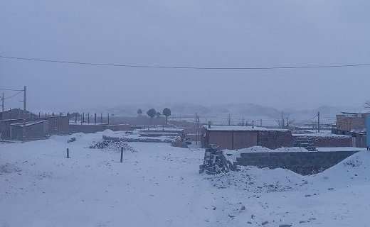 زمین خراسان جنوبی سفیدپوش شد + تصاویر