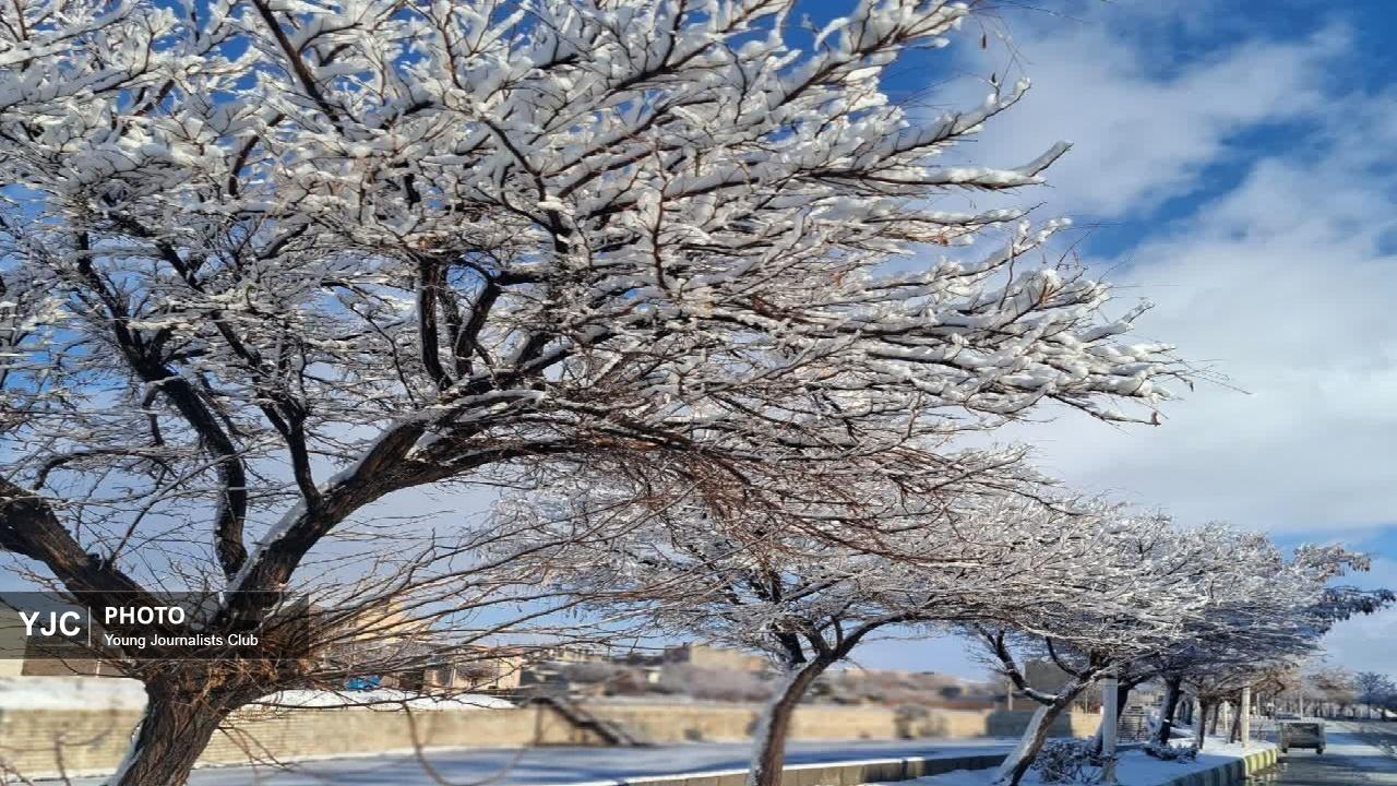 چشم‌انداز‌های برفی امروز ازنا + تصاویر