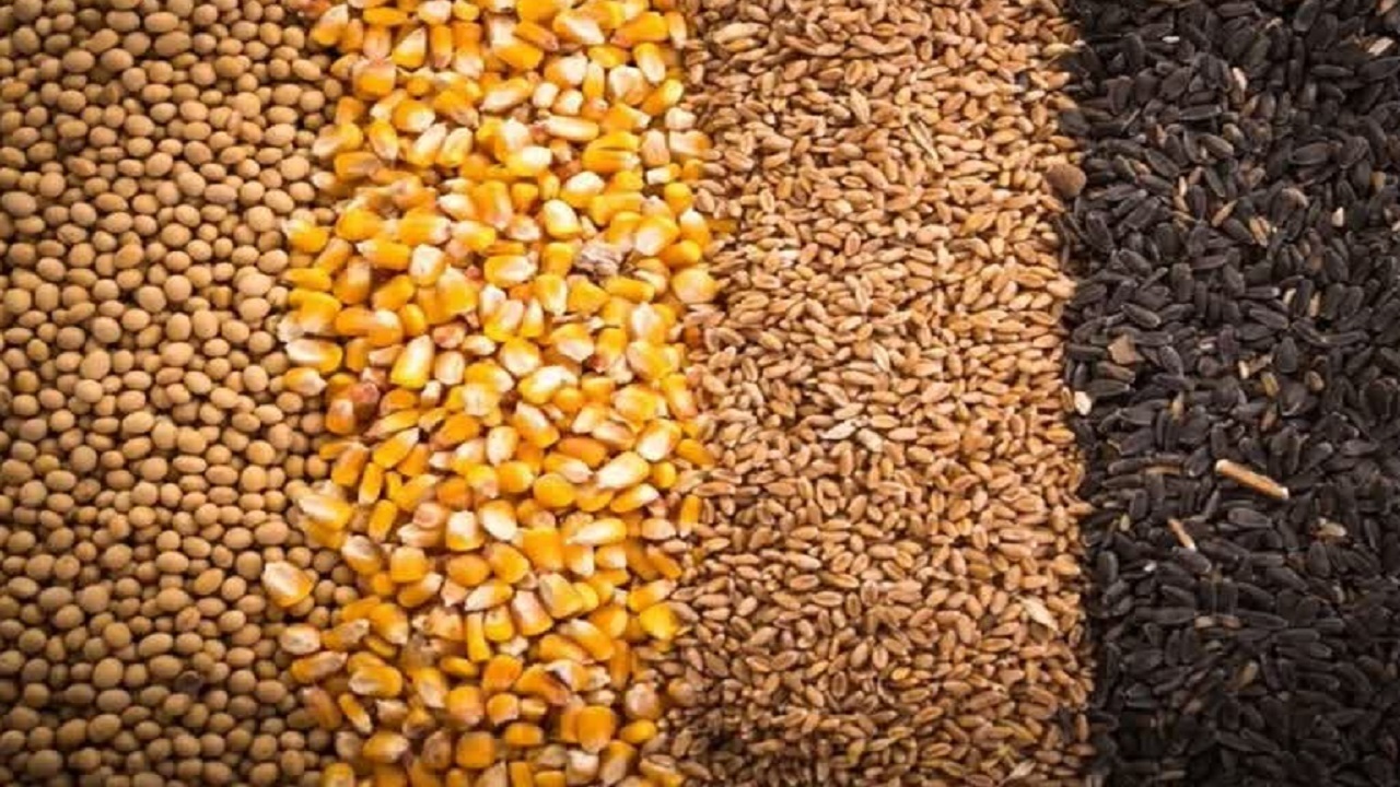 توزیع بیش از ۱۸۹ هزار تن نهاده و کالا در مازندران