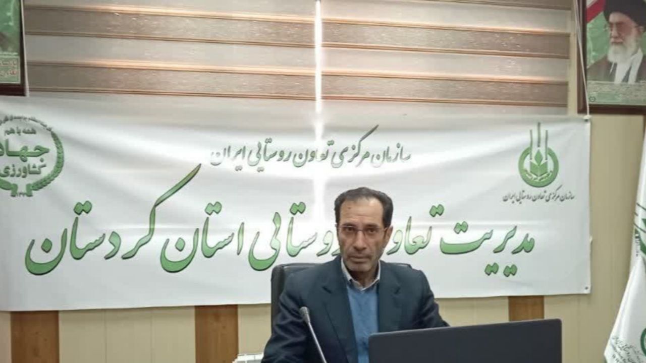 توزیع سیب زمینی تنظیم بازار توسط شبکه تعاون روستایی کردستان