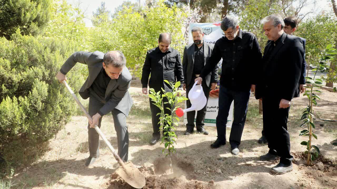 یزدی‌ها به یاد رهبر شهید هزار نهال امید کاشتند