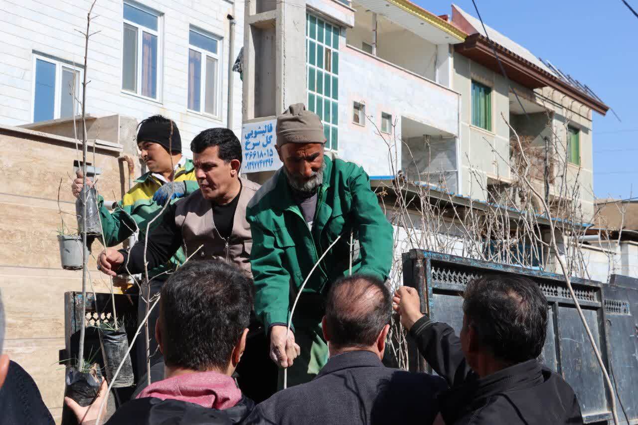 توزیع درخت بین نمازگزاران و شهروندان ماهدشتی به مناسبت روز درختکاری