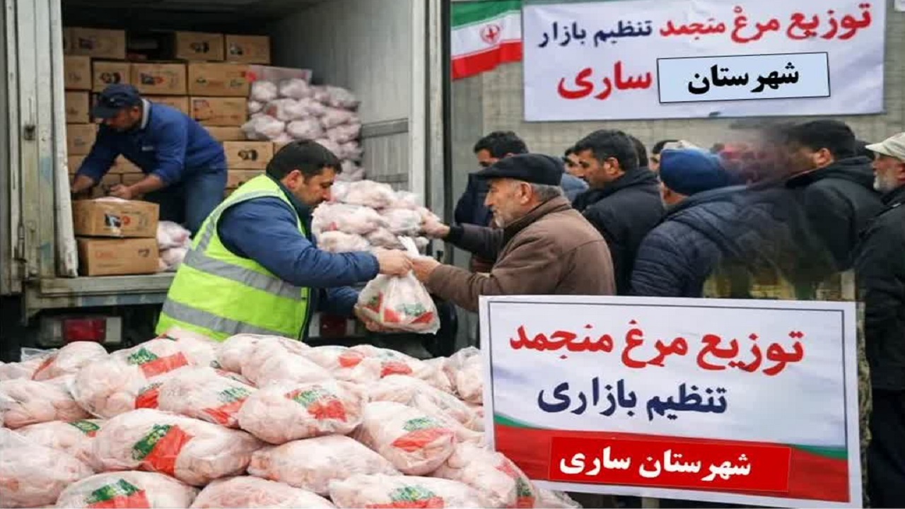 ۳۸ تن مرغ منجمد تنظیم بازاری در ساری توزیع می‌شود