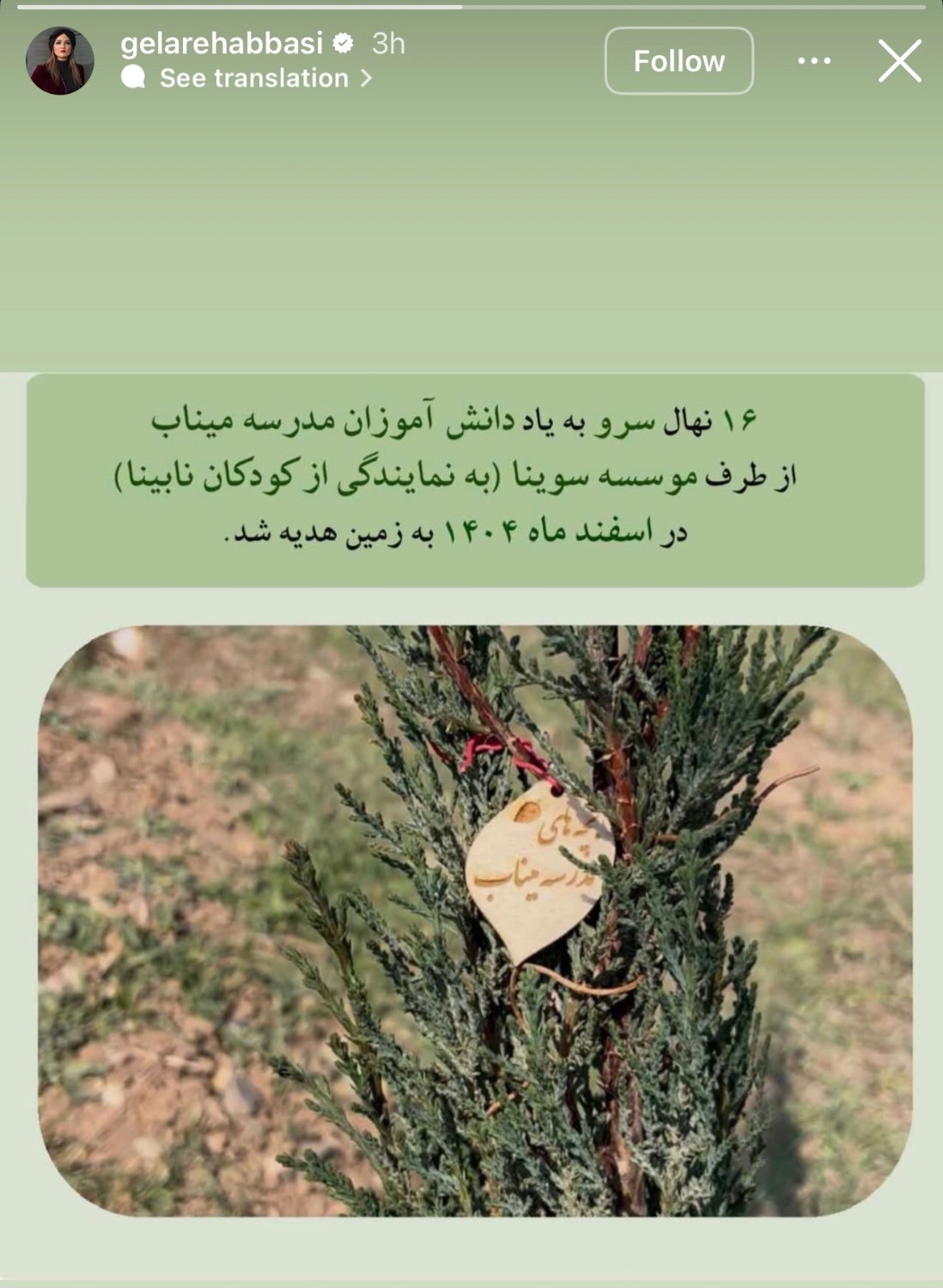 گلاره عباسی: ۱۶ نهال سرو به&zwnj;یاد دانش&zwnj;آموزان شهید میناب کاشتیم