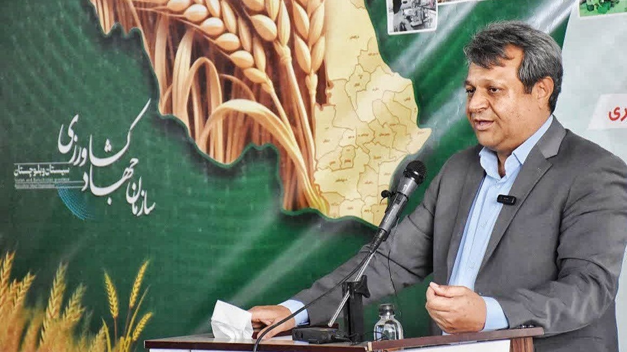 بیش از ۴۹ هزار تن گوشت مرغ از محل واحدهای مرغداری سطح استان وارد بازار شد