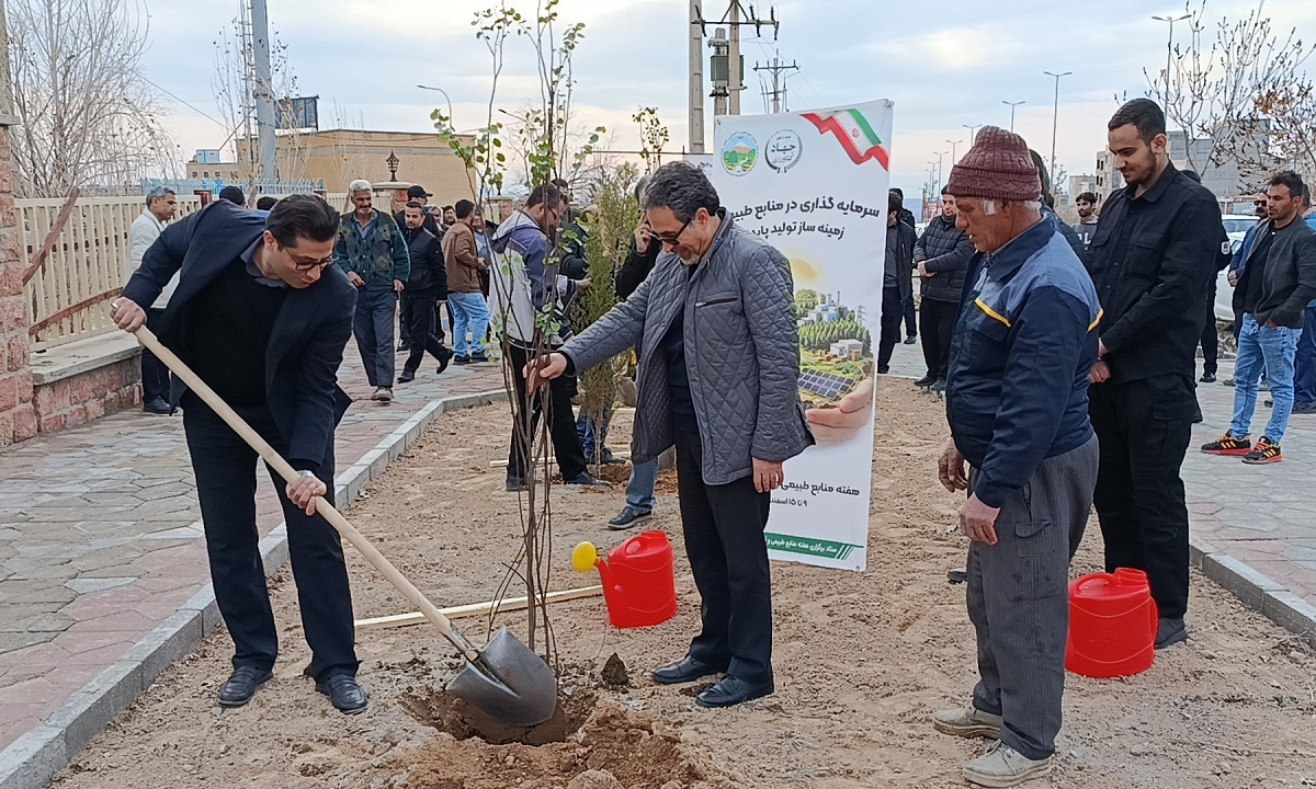 باشگاه خبرنگاران -آغاز کاشت پنج هزار اصله نهال در معابر شهری مراغه