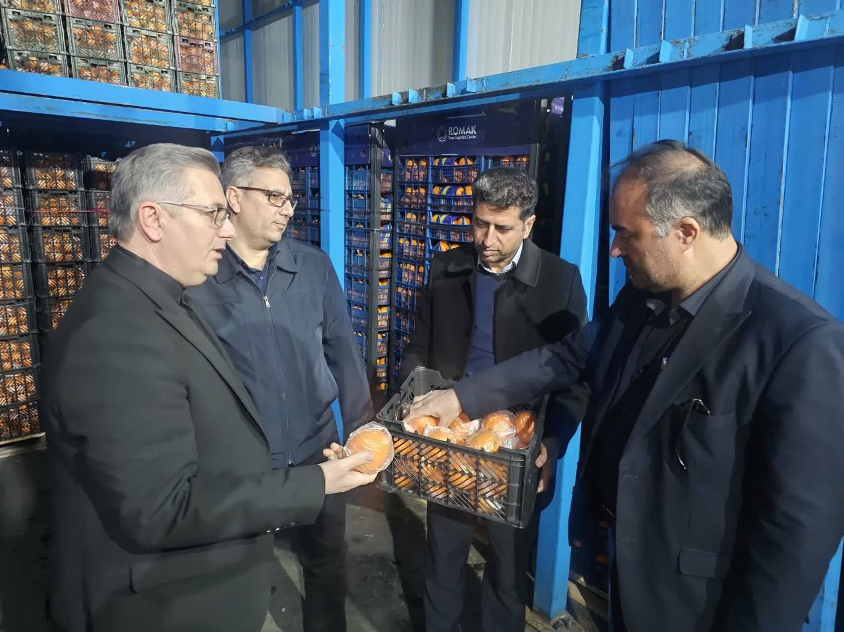 ذخیره سازی ۱۵۰ تن سیب و ۲۷۵ تن پرتقال در آذربایجان‌غربی/ خرید و توزیع ۷ تن خرما 