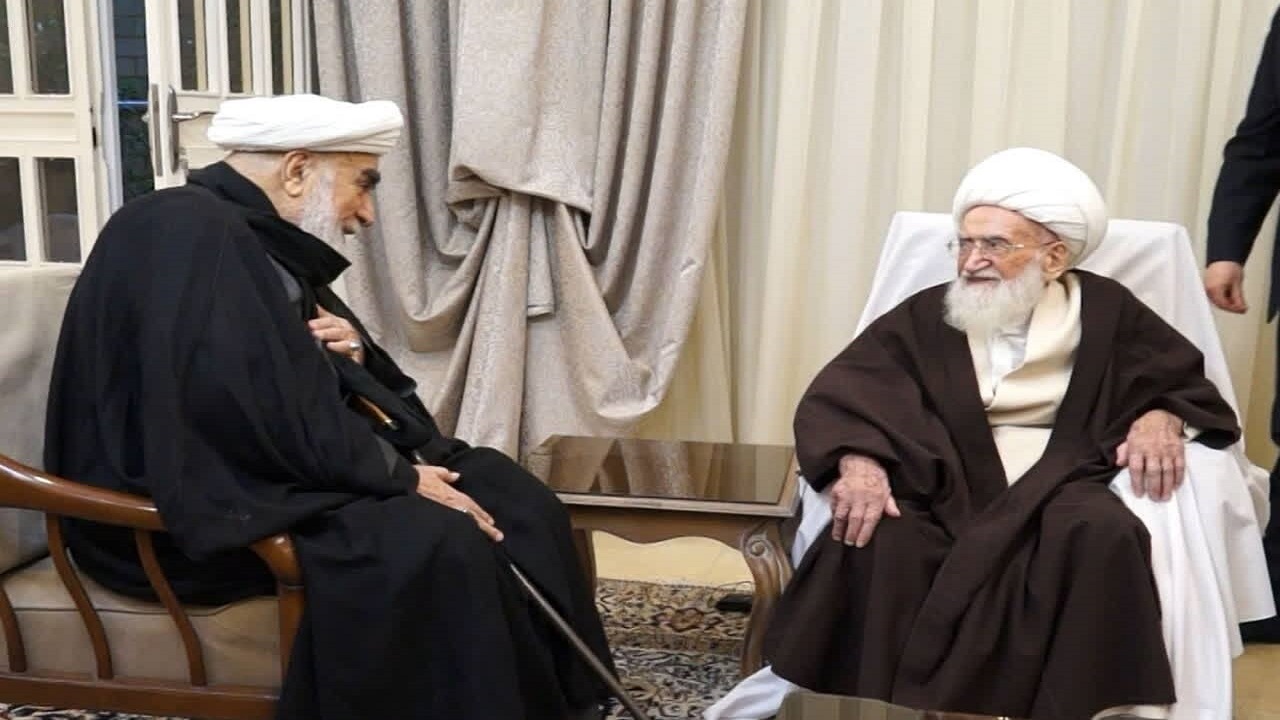 دیدار حجت‌الاسلام والمسلمین محمدی گلپایگانی با آیت الله نوری همدانی