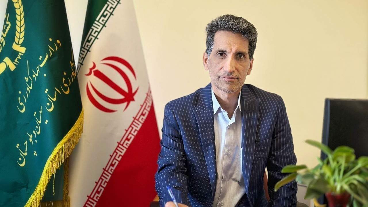 تولید بیش از ۱۱۰۰ تن تخم‌مرغ در زاهدان از ابتدای امسال