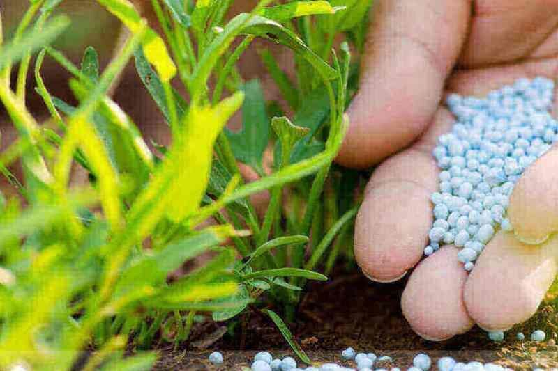 تأمین پایدار نهاده‌های دامی و تداوم توزیع کودهای یارانه‌ای/اجرای الزامی شناسنامه‌دار شدن محصولات
